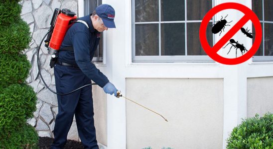 Espiye Gümüşkurt İlaçlama böcek ilaçlama ve haşere kontrolü — ilaclama-tr.com